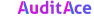 audit company img