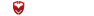 audit company img