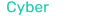 audit company img