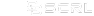audit company img