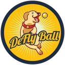 deflyball