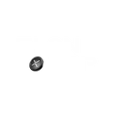 elon xrp