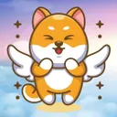 angel doge