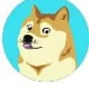 crazy doge