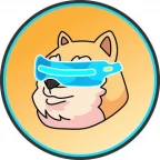 doge squared