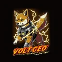volt ceo network