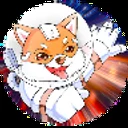 wrapped chiko token