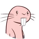 rufus coin