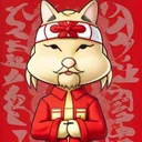 sensei cat