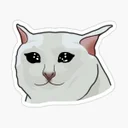 meowcat