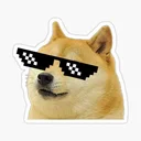 doge token