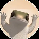 dancing lizard coin