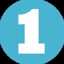 one coin