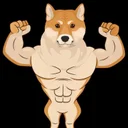 alpha shiba