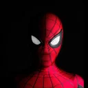 spider man bsc