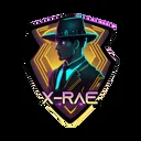 x-rae the detective bot