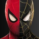 spider man 2.0