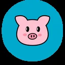 piggycoinbsc
