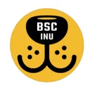 bsc inu