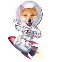 shibastar