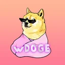 wrapped doge