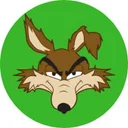 wily coyote