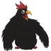 black cock