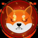 shiba