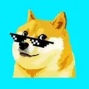 dogelogy