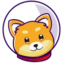 moon doge token
