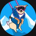shredn dog