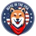 american shiba