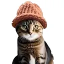 cat wif hat