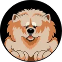 chow chow inu