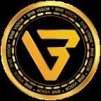 vigor token