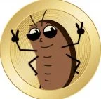 kokok the roach