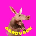 aardvark