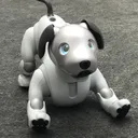 aibo