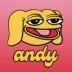 andy coin