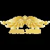 angel token