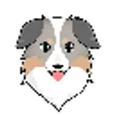 australian safe shepherd