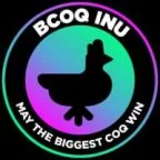 black coqinu