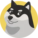 black doge