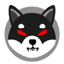 black shiba inu