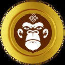 bnb ape token