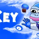 bonkeyonbsc