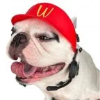 brokie inu