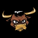 bull market