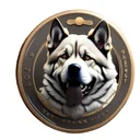 canine