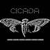 cicada